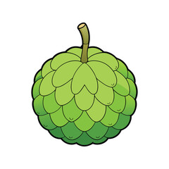 Custard Apple Vector Illustration – Fresh Tropical Fruit Icon for Organic Food Packaging, Juice Labels, and Healthy Diet Concepts