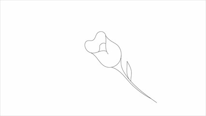 Minimalist Calla Lily Line Art  Elegant Single Flower Drawing