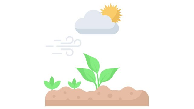 Soil and weather condition monitoring at fields animation, automated remote sensor sending data animated video, Digital Agribusinesses Clip, e-agriculture footage, smart farming motion graphics