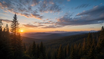 Beautiful Sunset Landscape in Dense Pine Forest &ndash; Northern Nature Beauty