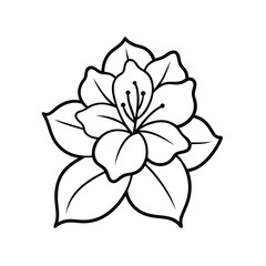 Azalea flower line art on white background