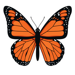 Monarch Butterfly Illustration: A captivating illustration of a vibrant Monarch butterfly, showcasing its stunning orange and black wings in exquisite detail.
