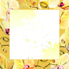 watercolor square frame with yellow and red orchid flowers, buds and twigs on deep yellow background, hand drawn tropical plant, floral sketch of blossom flowers, botanical illustration for decoration