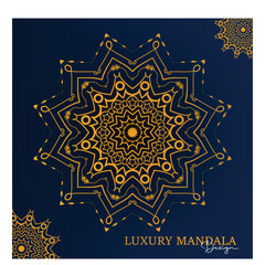 Mandala: the circle of life, reimagined with gold and grandeur