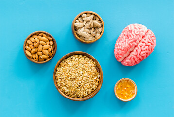 Human brain model with nuts and grain, top view. Healthy food for the brain