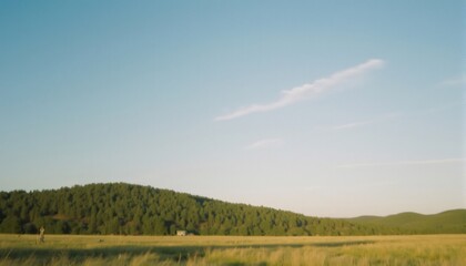 Obraz premium Serene Meadow Landscape: A vast expanse of golden grassland stretches towards a distant forested hillside, with a hint of white cloud traversing the vast expanse of azure blue sky.