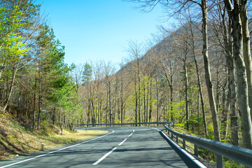 Serpentine road through blooming forest in springtime, scenic drive through the mountains