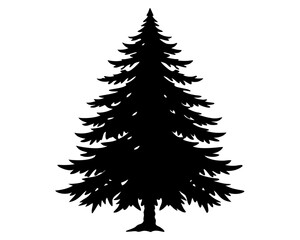 Evergreen Tree Silhouette Vector Design, Evergreen Tree SVG, Pine Tree Icon