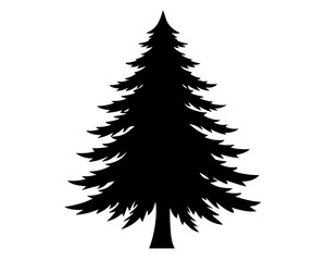 Obraz premium Evergreen Tree Silhouette Vector Design, Evergreen Tree SVG, Pine Tree Icon