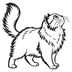 Obraz premium a cat vector illustration | black cat vector silhouette