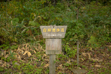 Walking trail at Shirogane Falls in Asahikawa, Hokkaido, Japan