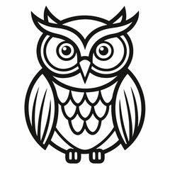 owl on white background