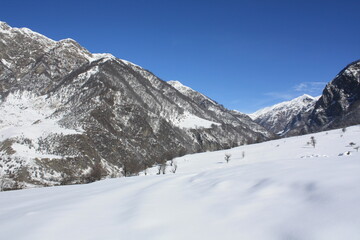 snow covered mountains