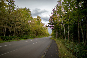 Fototapeta premium Walking trail at Shirogane Falls in Asahikawa, Hokkaido, Japan
