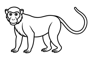 Minimalist Proboscis Monkey Vector