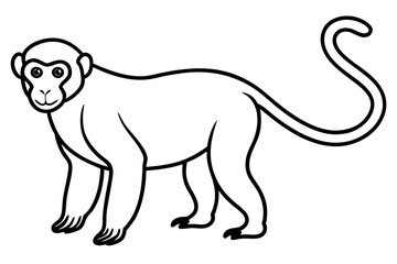 Minimalist Proboscis Monkey Vector