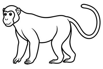 Minimalist Proboscis Monkey Vector