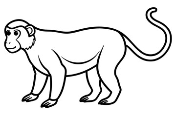 Minimalist Proboscis Monkey Vector