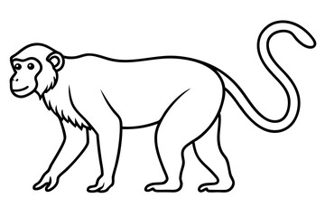 Minimalist Proboscis Monkey Vector