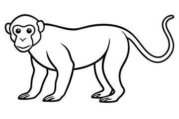 Minimalist Proboscis Monkey Vector