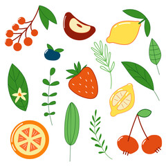 Fruit set with lemon and strawberry