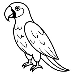 Minimalist Macaw Line Art Vector