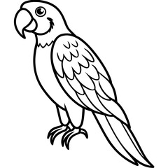 Minimalist Macaw Line Art Vector