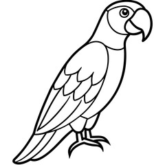 Minimalist Macaw Line Art Vector