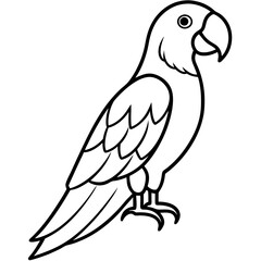 Minimalist Macaw Line Art Vector