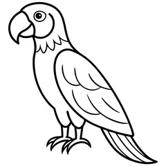 Minimalist Macaw Line Art Vector