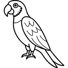 Minimalist Macaw Line Art Vector