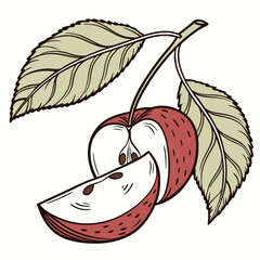 vector illustration of a leaf and apple