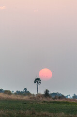 Sunset over the marshlands of the Okavango delta