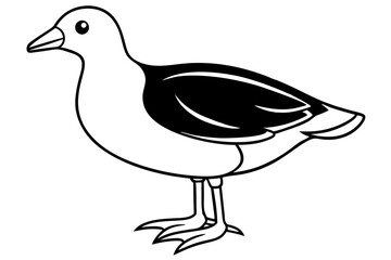 Modern Moorhen Silhouette