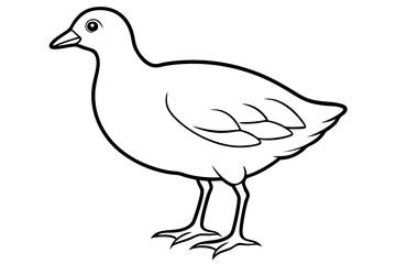 Modern Moorhen Silhouette