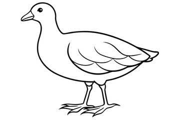 Modern Moorhen Silhouette