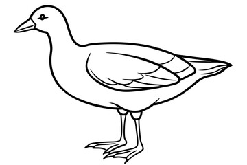 Modern Moorhen Silhouette