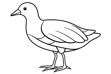 Modern Moorhen Silhouette