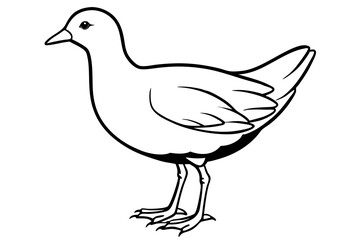 Modern Moorhen Silhouette