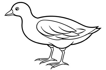 Modern Moorhen Silhouette