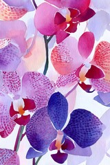 High definition orchid flowers bloom