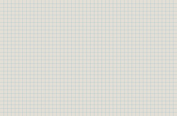 Blank notebook sheet with grid