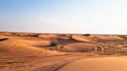 Abu Dhabi Desert Stockfoto