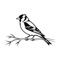 American goldfinch bird silhouette black single
