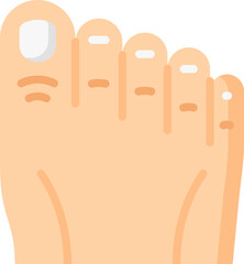 toe Illustration on a white background     