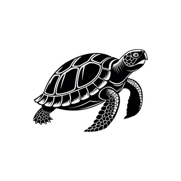 recommend clip art: tortoise silhouette logo vector line art logo design