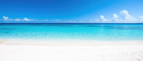 Tableau sur plexiglas Plage et Mer Pristine beach with turquoise water and a clear sky  © isti