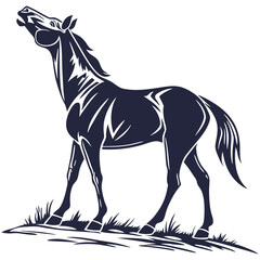 silhouette horse image on white background


