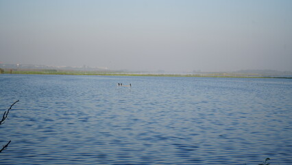 Obraz premium Lake and blue sunny sky. Bird standing on river or lake.