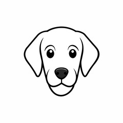 golden retriever dog